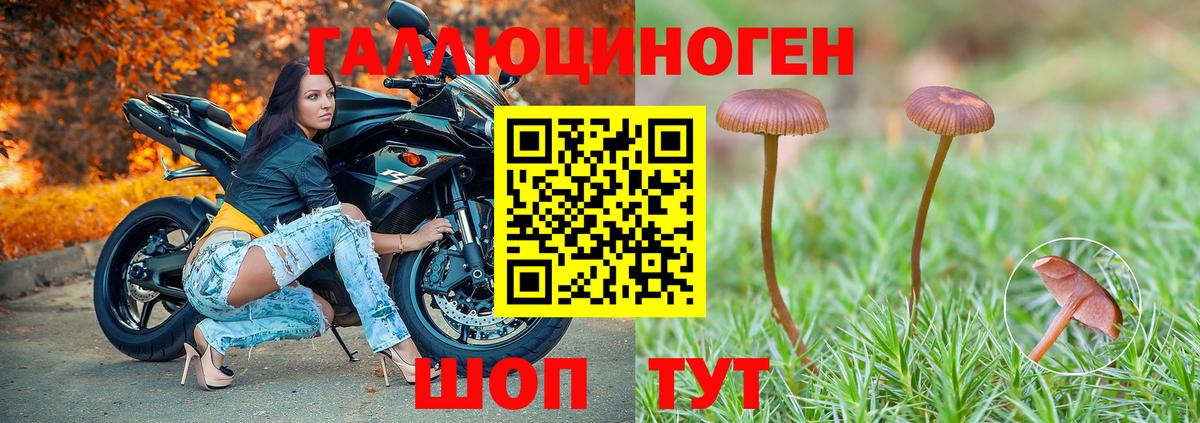 где купить   Вход с VPN  Грязи  Псилоцибиновые грибы Magic Shrooms 