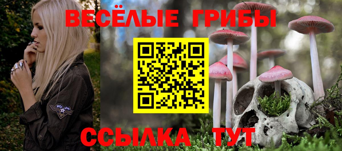 Псилоцибиновые грибы MAGIC MUSHROOMS Грязи